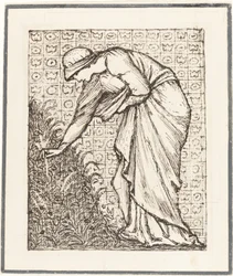 Dame pflückt Blumen