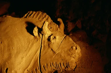 Detail eines aus Ton geformten Bisons, etwa 14.000 Jahre alt, aus der Höhle von Tuc d