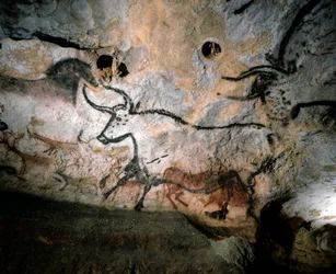 Paläolithische Kunst von Stieren, Hirschen und Pferden auf Kalksteinhöhlenwänden, Lascaux, Frankreich
