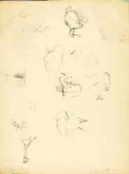 Tierstudien