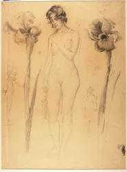 Akt und Iris