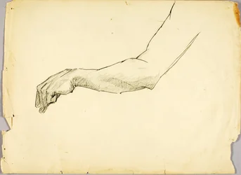 Studie eines Arms