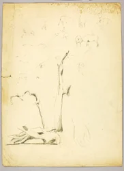 Baumstämme und Schafe