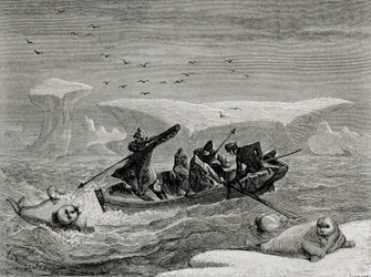 Walrossjagd mit Harpunen auf den Spitzbergen, Svalbard-Archipel, Illustration aus 