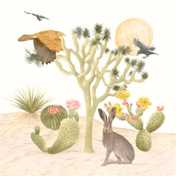 Mojave-Wüste