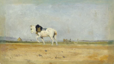 Ein Pflugpferd auf einem Feld