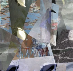 Fragmentierte Wasserschwäne