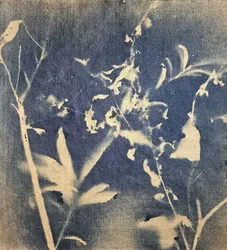 Blaue botanische Silhouette