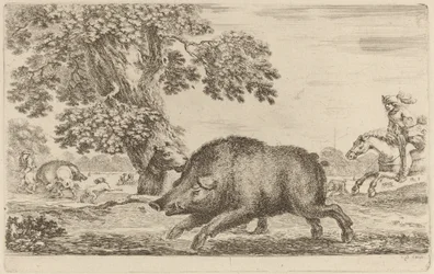 Wildschwein läuft nach links