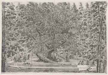 Der bewohnte Baum im Garten der Villa Pratolino
