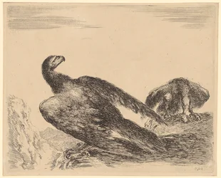 Flügelspreizender und fressender Adler, Blatt 4 der Folge "Adler"