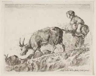 Tafel 14: Schäferin, die Ziegen hütet, aus Verschiedene Tiere Diversi animali, ca. 1641