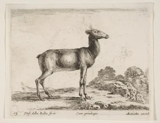 Tafel 15: Hirschkuh, aus Verschiedene Tiere