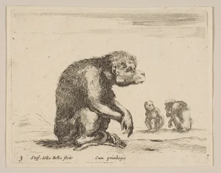 Tafel 3: sitzender Affe, aus Verschiedene Tiere Diversi animali, ca. 1641