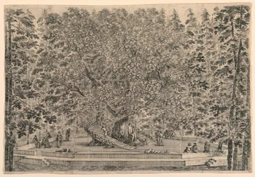 Baum mit zwei Wendeltreppen