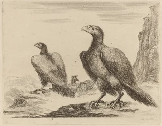 Zwei Adler, beide mit nach links gedrehten Köpfen, auf einer hohen Klippe