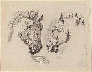 Zwei Pferdeköpfe, wahrscheinlich 1649
