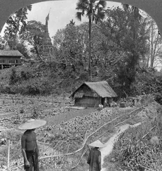 Ein Gemüsegarten inmitten von Pagoden, Bhamo, Burma, 1908