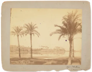 Dorf Memphis, Ägypten, ca. 1898-1920 (s/w Foto)