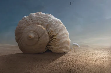 Flamingo und Riesenschnecke