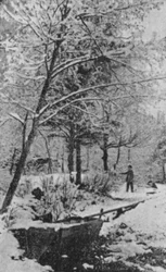 Winterlandschaft in Meiringen, Berner Oberland
