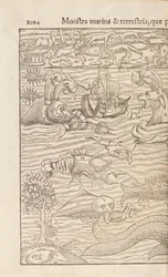 Seite 1004 aus Cosmographiae Universalis von Sebastian Muenster, Basel, 1572
