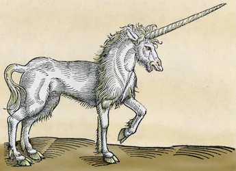 Einhorn, Illustration aus Historiae Animalium von Conrad Gesner, 1551