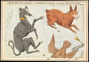 Canis Major. Lepus, Columba Noachi & Cela Sculptoris, ca. 1825