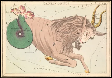 Capricornus