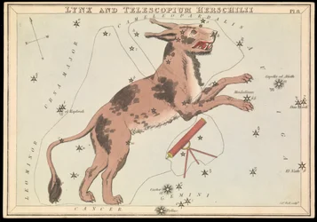 Luchs und Telescopium Hereschilii, ca. 1825