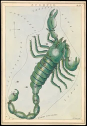 Skorpion, ca. 1825