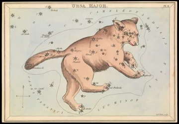 Großer Bär, ca. 1825 (Karton, Papier, Gewebe)