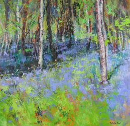Blaue Glockenblumen und Birken