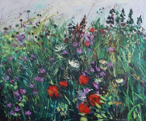 Wildblumenwiese