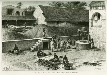 Im Inneren der Faktorei Maurel und Prom in Boulam: Sammeln und Verarbeiten von Erdnüssen, Palmkernen und Kautschuk. Stich von Taylor nach einer Fotografie zur Illustration des Reiseberichts 