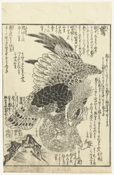 Adler mit Affe in seinen Klauen