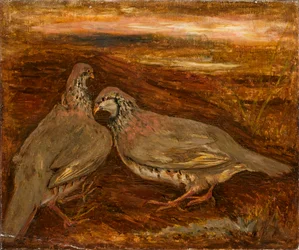 Zwei Vögel