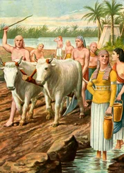 Ägypten - Leben auf den Feldern