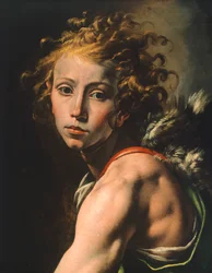 Figur von David (Detail)