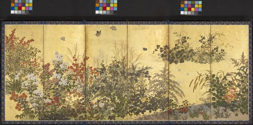 Blumen und Schmetterlinge