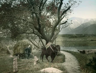 Japanischer Bauer, um 1900 - 1915