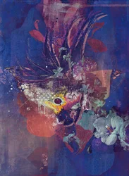 Pfau, 2016