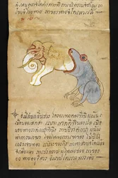 Frosch frisst einen Elefanten, aus 