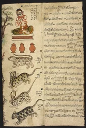 Or 4830 „Thailändisches Wahrsagehandbuch (Phrommachat) mit Horoskopen auf Grundlage des chinesischen Tierkreises“