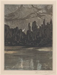 Nächtliche Landschaft mit Zugvögeln