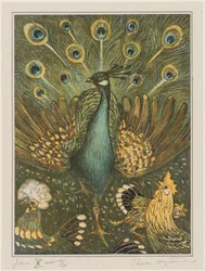 Pfau mit Hühnern