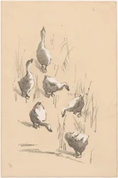 Grußkarte mit sechs Gänsen