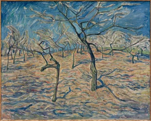 Frühling in Geltow