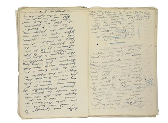 Autographische Manuskriptentwürfe für Artikel über das Berliner Leben und die Gesellschaft, zusammen mit einem Fragment eines Entwurfs für einen Roman, ca. 1878-94