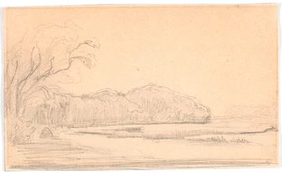 Landschaft bei einem waldgesäumten See